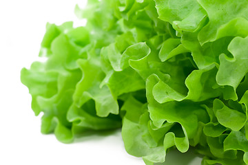 Image showing Lettuce