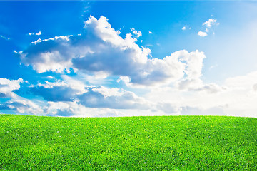 Image showing Green grass and blue cloudy sky