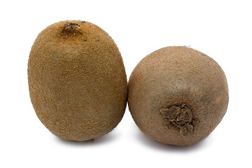 Image showing Kiwi