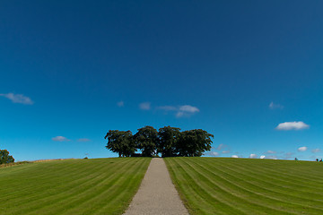 Image showing Forest cemetery