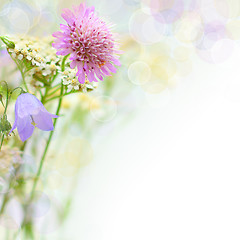 Image showing Summer blossom - background with flowers