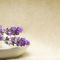 Image showing Spa - blurred background with herbal bath salt and flowers (Shal