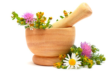 Image showing Mortar, medicine herbs and flowers