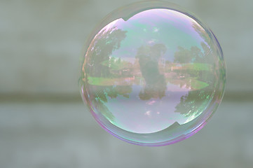 Image showing Soap bubble on greay background