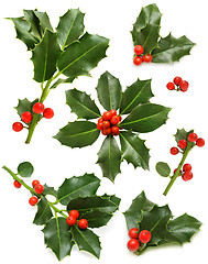 Image showing Christmas holly set - green leaf, red berry and twig