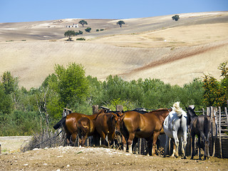 Image showing Landscape of Italian country