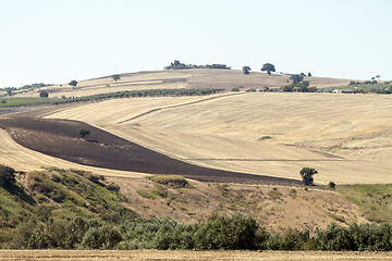 Image showing Panoramic views of the country in Apulia Italy