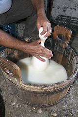 Image showing farmer who gets the cheese