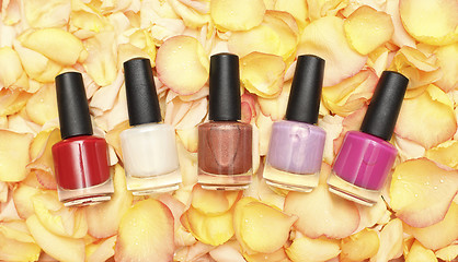 Image showing Nail polish in rose petals - beauty background