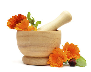 Image showing Alternative medicine and herbal treatment - Calendula flowers