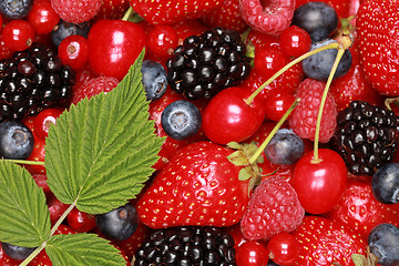 Image showing Berry Mix