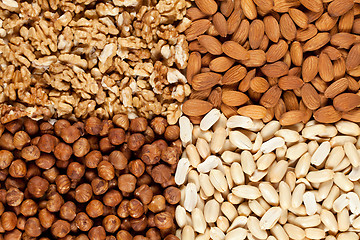 Image showing Assorted Nuts