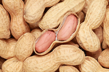 Image showing Peanuts