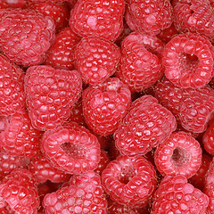 Image showing Raspberries