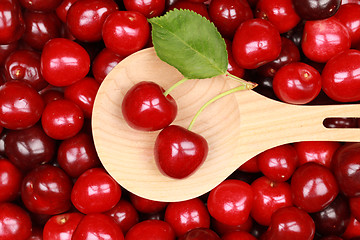 Image showing Cherries