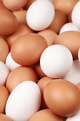 Image showing White and brown eggs