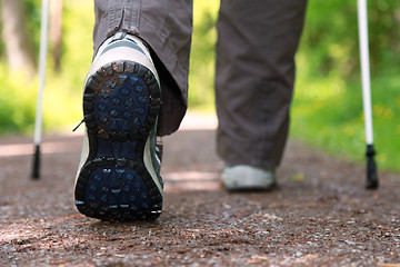 Image showing Nordic Walking