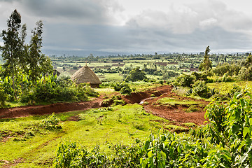 Image showing Ethiopian rural landscape