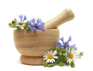 Image showing Herbal Treatment - medicine camomile, cornflowers and pestle iso