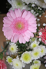 Image showing pink gerbera flower