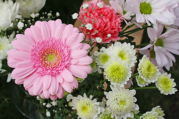 Image showing pink gerbera flower