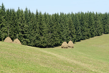 Image showing Moldavia