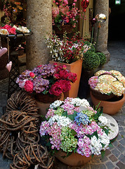 Image showing posies and deco