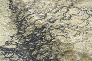 Image showing stone surface