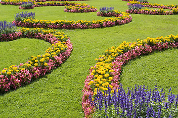 Image showing ornamental garden