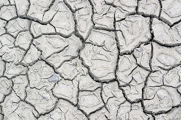 Image showing fissured ground