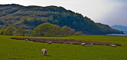 Image showing Scottish scenery