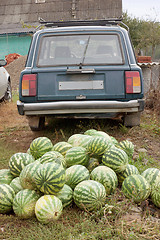 Image showing Heap of watermelons and the car