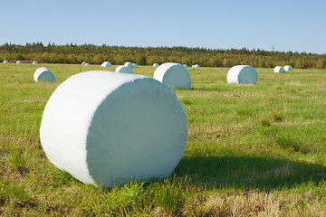 Image showing Hay is packed into a white material