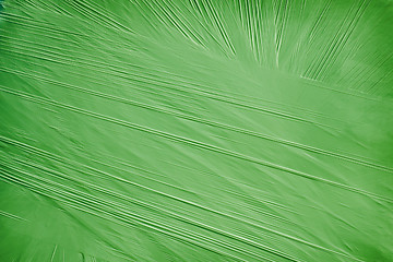 Image showing Green background from a packing material