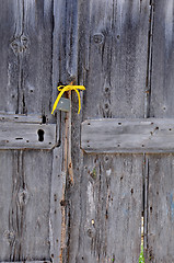 Image showing Fragment of Old Unpainted Door