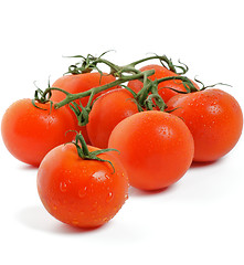 Image showing Tomatoes on twigs