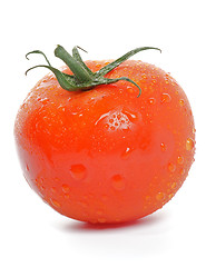 Image showing Tomato straight from garden