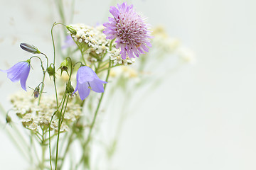 Image showing Background with wildflowers for greeting card 