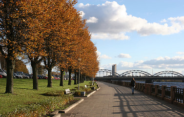 Image showing Riverbank