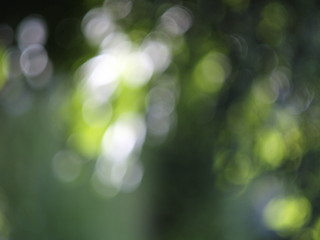 Image showing bokeh