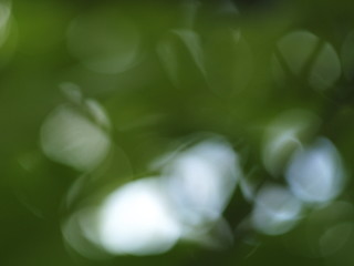 Image showing bokeh