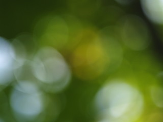 Image showing bokeh