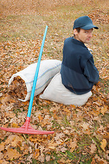 Image showing A man collects in a grove of leaves