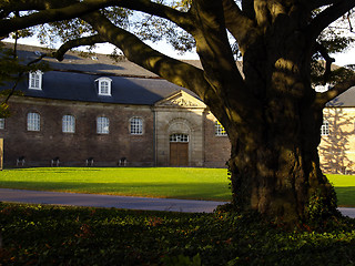 Image showing baronial stud