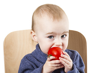 Image showing young child eating tomatoes in high chair