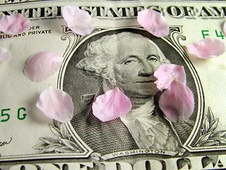 Image showing Petals on the dollar bill