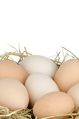 Image showing Eggs closeup