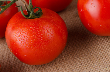 Image showing Cherry tomatoes vine