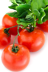 Image showing Red ripe tomato