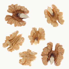 Image showing Walnuts